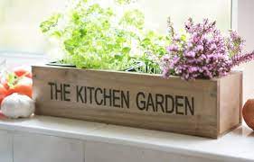 Your Own Personal Kitchen Herb Garden