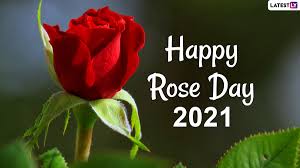 happy rose day 2021 photos