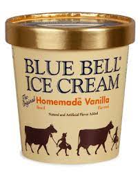 homemade vanilla blue bell ice cream