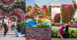check out dubai miracle garden