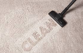 experts on carpet cleaning in lee s