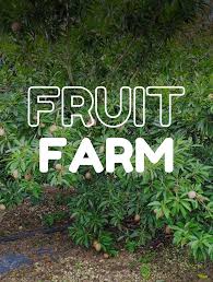 diana tropical fruit farm fresh
