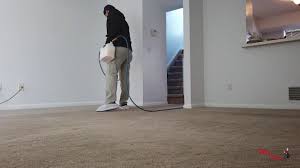 all healthy carpets cleaning process