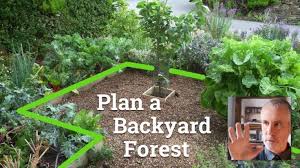 Plan A Backyard Forest