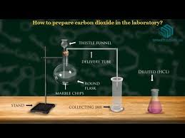 How To Prepare Carbon Dioxide In The