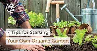7 Tips For Starting Your Own Organic Garden