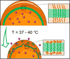Temperature Sensitive Polymersomes For