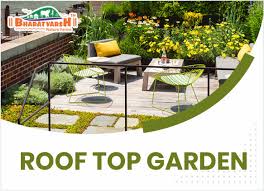 Terrace Gardening Rooftop Gardening