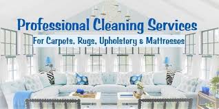home dms carpet upholstery cleaners