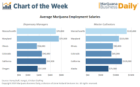 Eastern Salaries Top Western Compensation In Cannabis