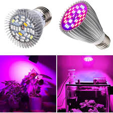 Plant grow lights are a simple way to bring the sunshine indoors and ensure your favorite leafy greens and herbs are getting the proper nutrients they need. 10w 28 Led Plant Grow Lamp 28pcs Growing Plants Bulb For Casual Dc 85 285v Indoor 800lm Plants 50000 Hours Led Grow Lights Aliexpress