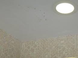 brown spots on bathroom ceiling