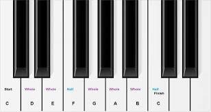The numbering of fingers is the same for both left and right hands. Piano Keys Chart For Beginner Piano Students