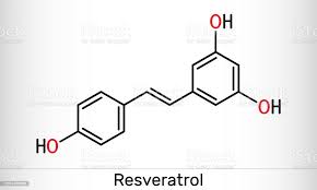 Resveratrol Transresveratrol Molekülü Stilbenoid Doğal Fenol Fitoalexin  Antioksidandır Yapısal Kimyasal Formül Stok Vektör Sanatı & Ahududu'nin  Daha Fazla Görseli - iStock