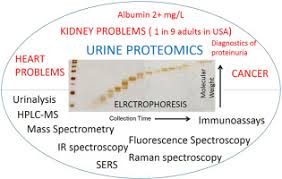 proteins in human urine