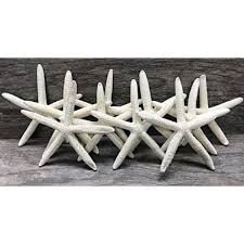 Real Starfish Decor 10 Pack Assorted