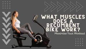 what muscles does a rebent bike work