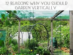 Garden Vertically
