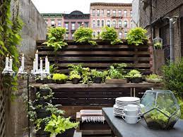 Apartment Gardening Ideas For Small