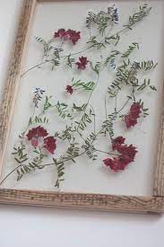 extra large pressed bougainvillea frame