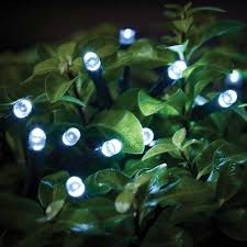 Cole Bright Led String Lights