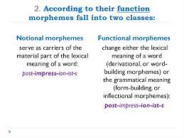 And, but, when, because, of, the, between. Morphology As A Part Of Grammar Online Presentation