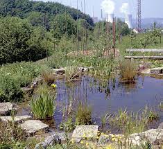 Juli 2020 im öko garten des bund magdeburg. Okogarten Volklingen Grundregeln Des Biologischen Gartenbaus