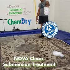 nova clean chem dry carpet cleaning