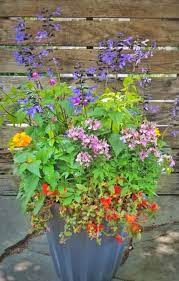 Container Gardens For Erflies And