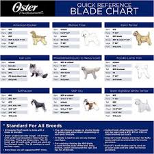 Oster Dog Clipper Blades Chart Best Picture Of Chart