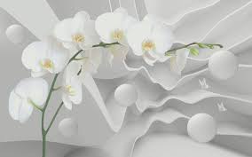 wall mural white orchid wall mural orchids u47810 uwalls com