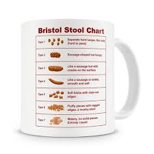 Bristol Stool Chart Mug Nurse Gift Student Nurse Mug Student Nurse Gift Ideas Medical Student Gift For Nurses Doctor Gift Nursing Gift