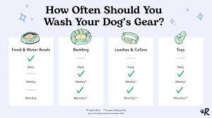 how to wash dog toys and gear so that