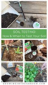 soil testing when how to test your
