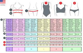 Interpretive Sizing Chart For Bras Bra And Cup Size Chart