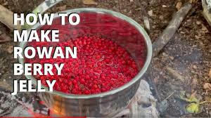 how to make rowan berry jelly you