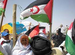 Explota una mina anti-persona junto a una manifestación en el Sahara Occidental | Internacional | Cadena SER