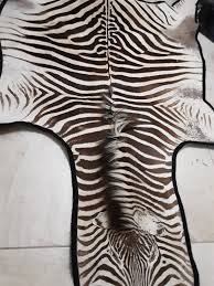 authentic zebra skin leather rug ebay