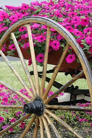 Wagon Wheel Garden Wagon Wheel Old Wagons