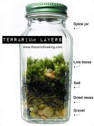 tutorial e jar mini terrariums