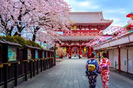Когда цветет сакура в Токио в 2019 году - Voyagejapan