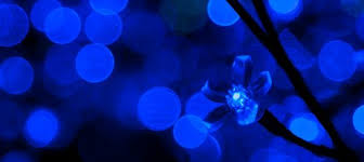 Bright And Efficient Royal Blue Led Lights Premier Lighting