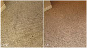 water damage pros carpet cleaning