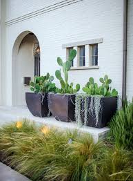 Cactus And Succulent Containers Are