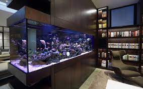 Modern Home Aquarium Design gambar png