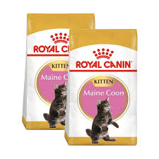royal canin food pouch for maine