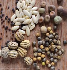 5 best places to find heirloom seeds