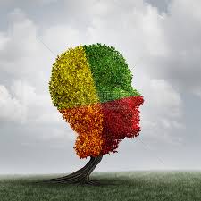 人的情绪心理变化棵人头树,以变化的叶子颜色心理健康的隐喻,大脑思维障碍神经学化学失衡人格变化的象征高清图片下载-正版图片300849780-摄图网