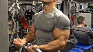 how to get bigger arms fitness goal 4u