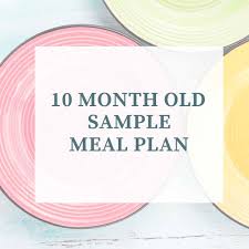 10 month old meal plan nutritionist